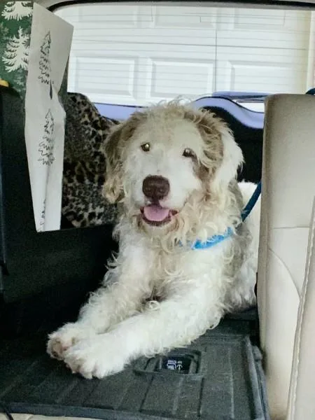 Howie