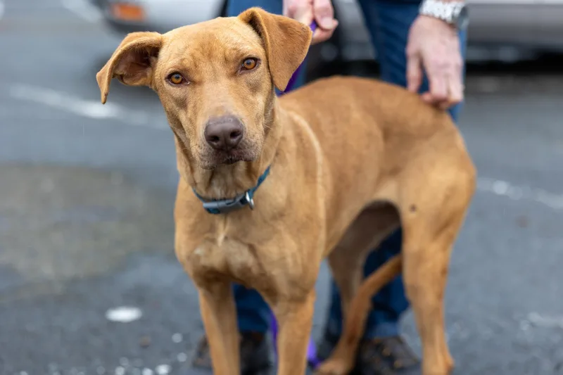 Carmela  Local April thumbnail 3