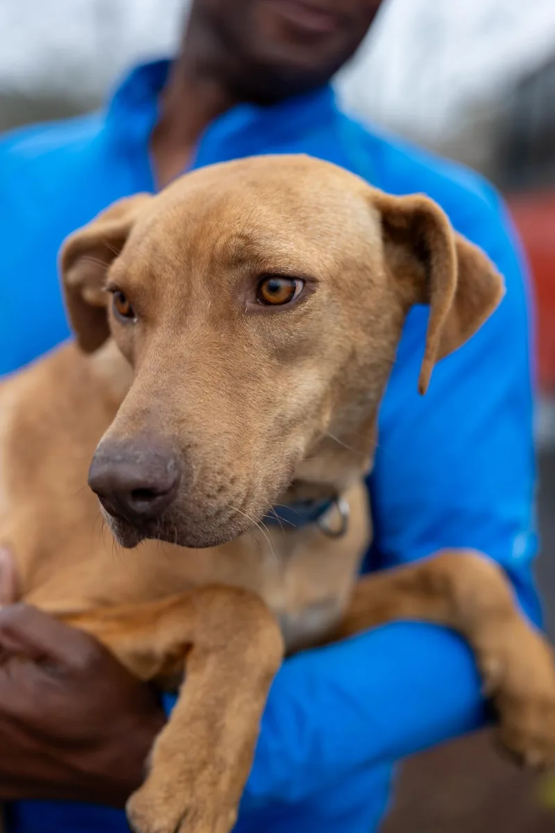 Carmela  Local April thumbnail 4