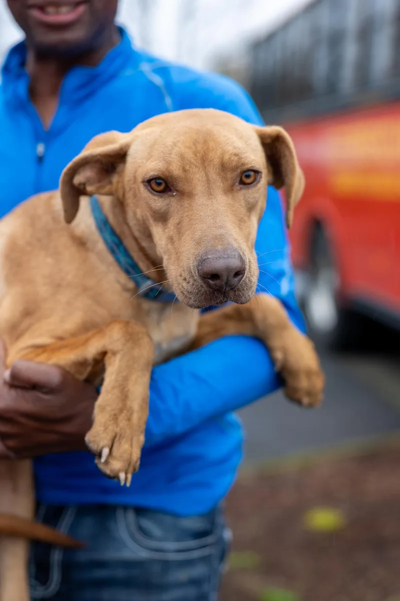 Carmela  Local April thumbnail 5