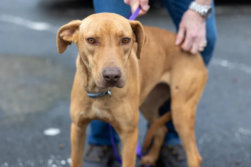 Carmela  Local April thumbnail 6