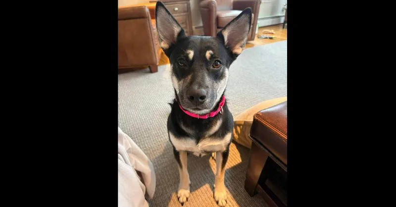 Brittany Lee thumbnail 3