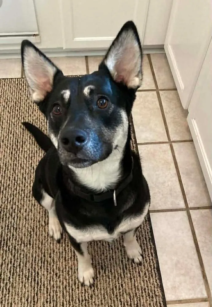 Brittany Lee thumbnail 4