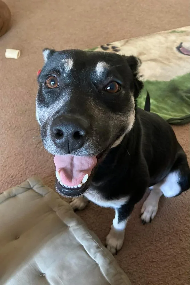 Brittany Lee thumbnail 5