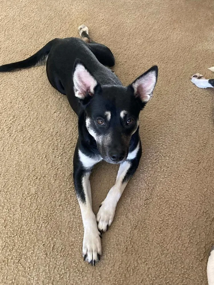 Brittany Lee thumbnail 6