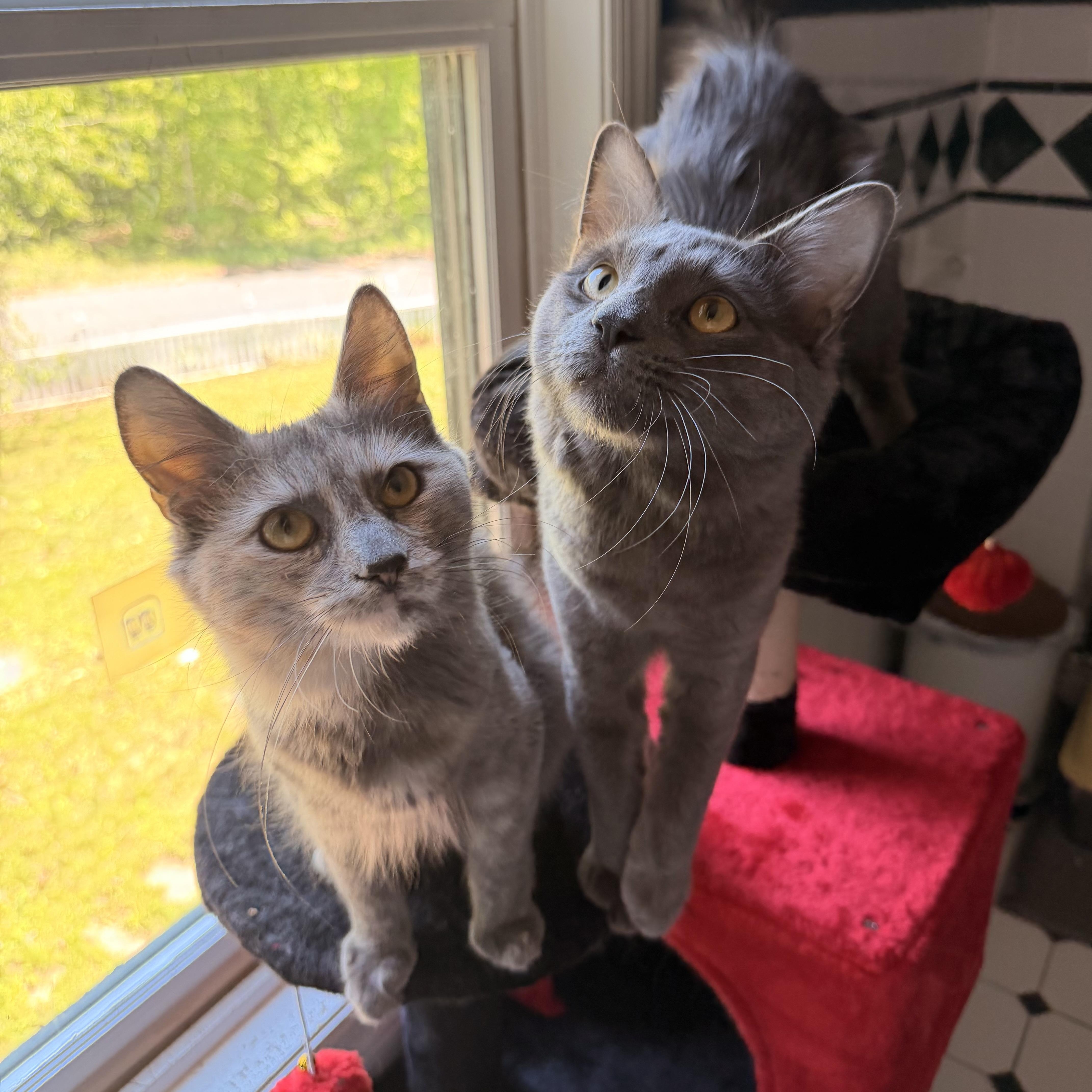 Zeus & Hera thumbnail 2
