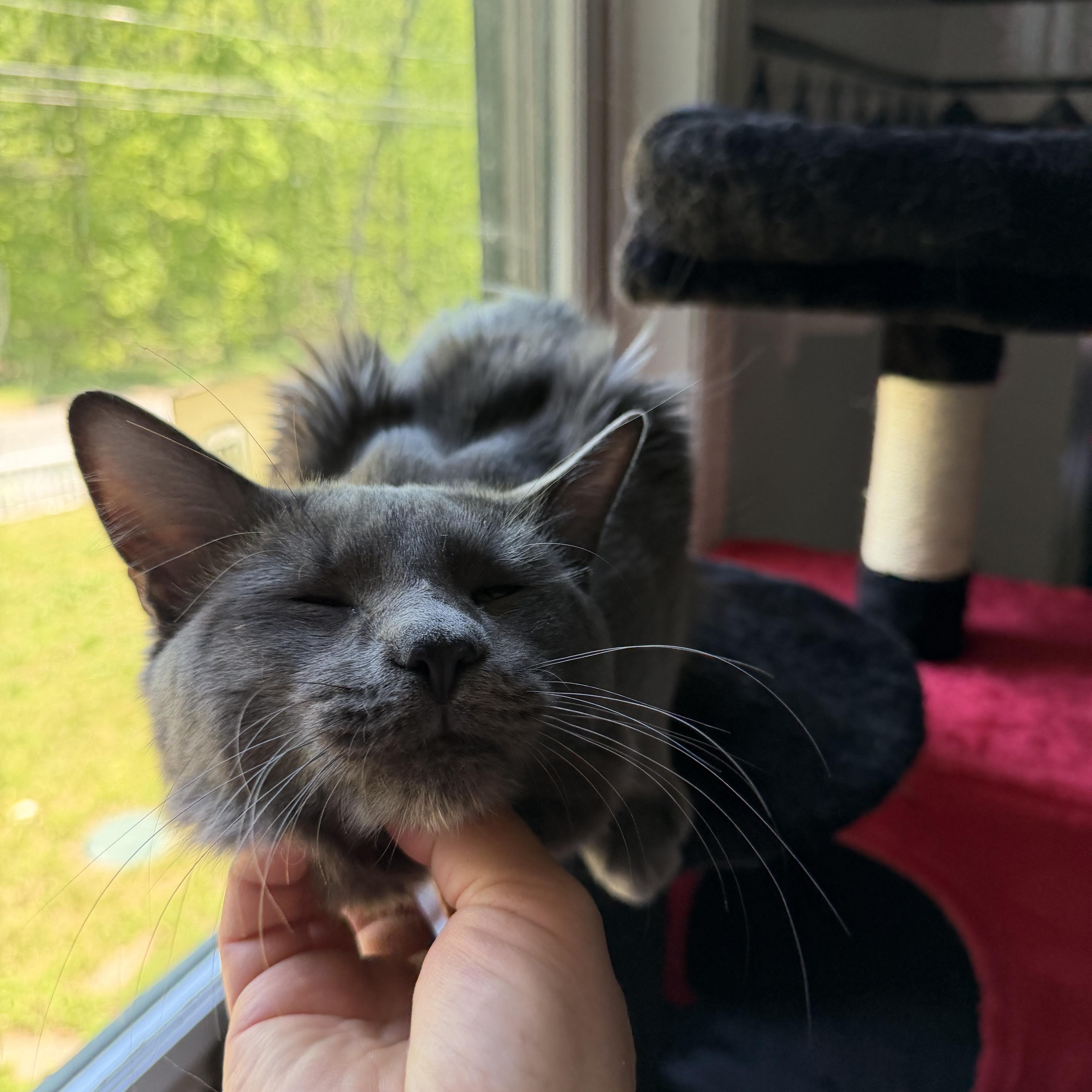 Zeus & Hera thumbnail 5