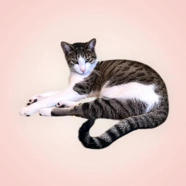 Princess Poppy thumbnail 2