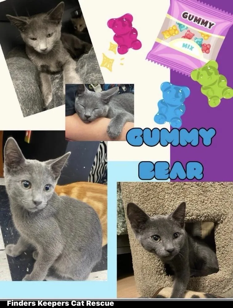Gummy Bear thumbnail 3