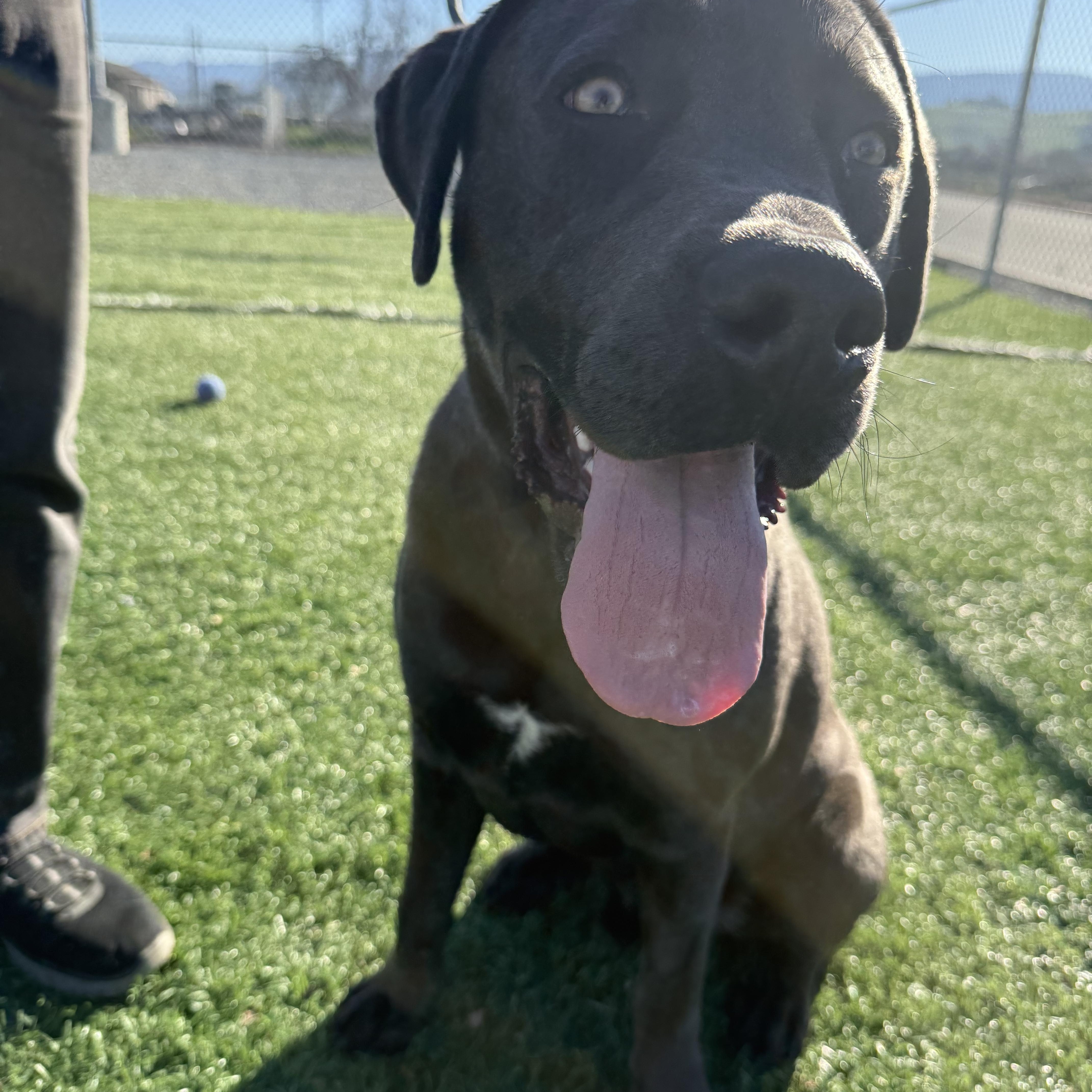 Quicksilver thumbnail 3