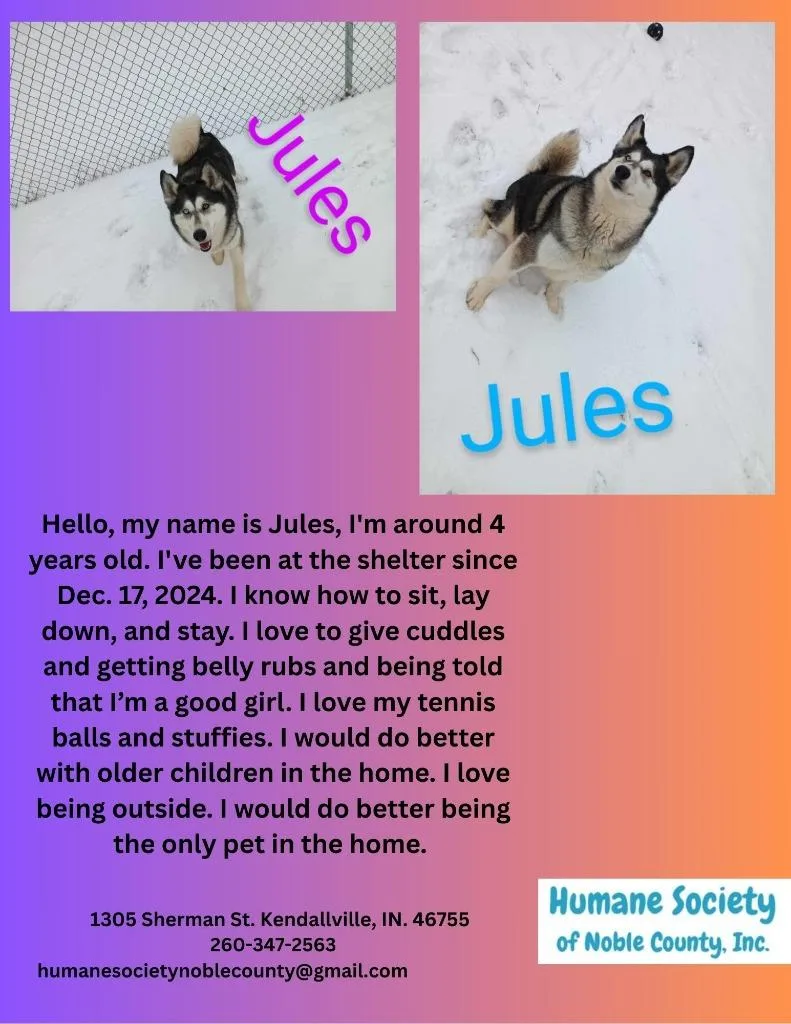 Jules thumbnail 5