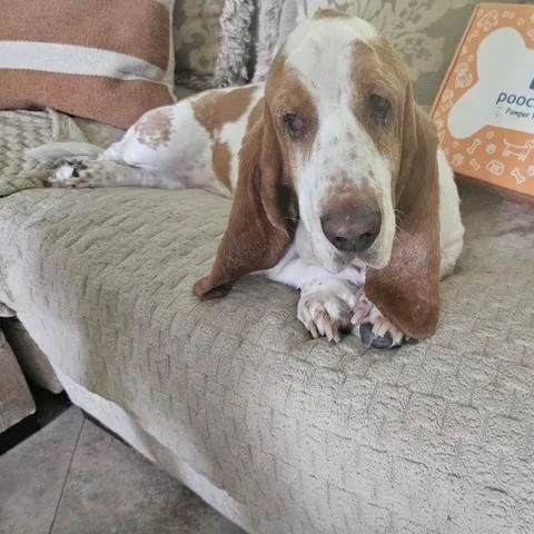 Cooper thumbnail 2