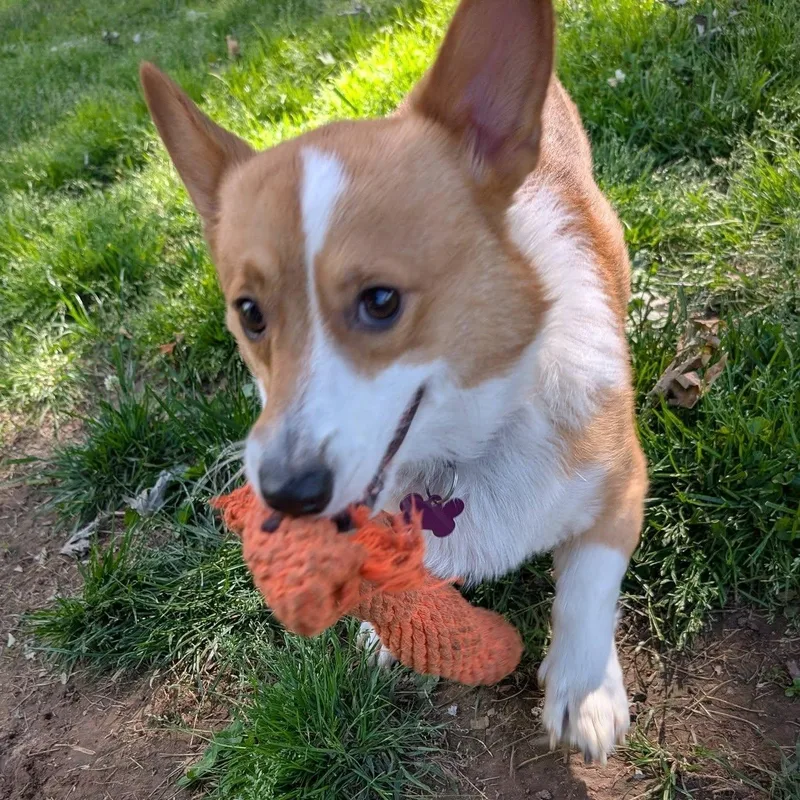 Eddie thumbnail 6