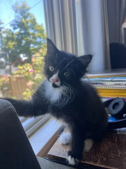 Luna