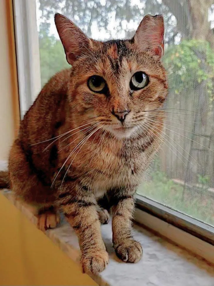 Meet Stacey – The thumbnail 4