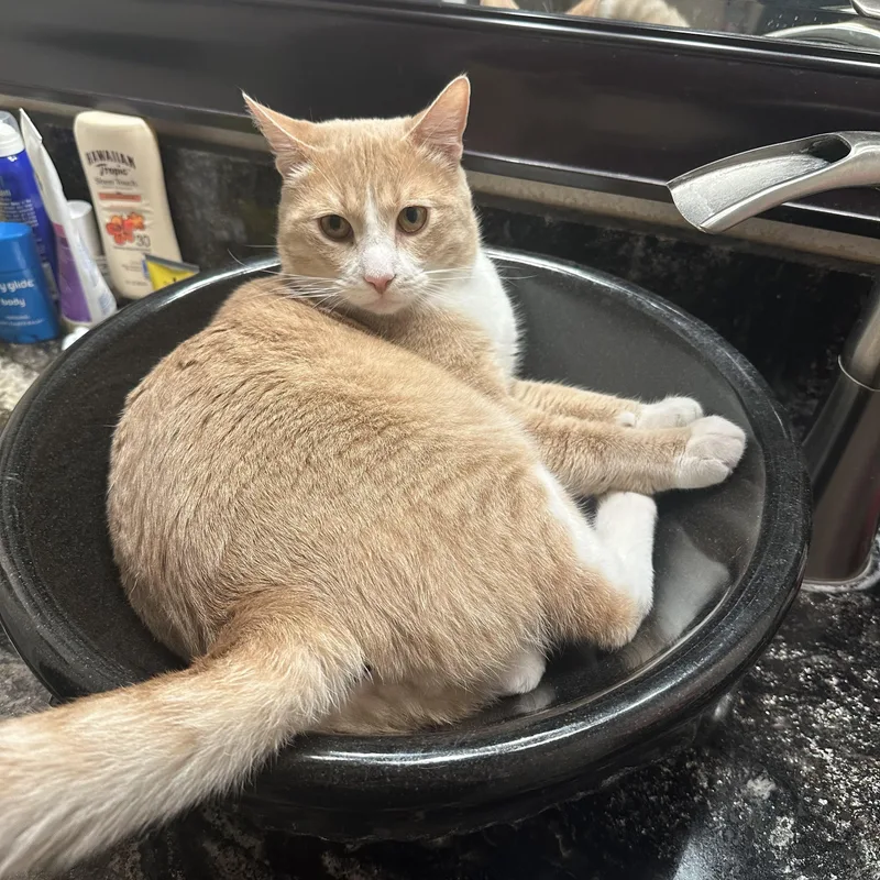 Jaebee And Tipper Indoor thumbnail 3