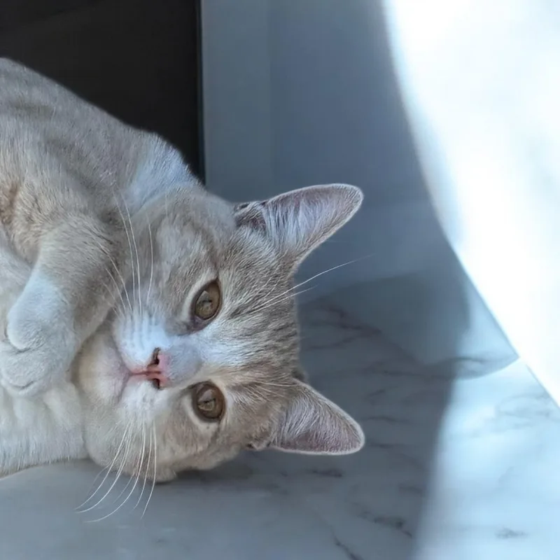 Jaebee And Tipper Indoor thumbnail 4