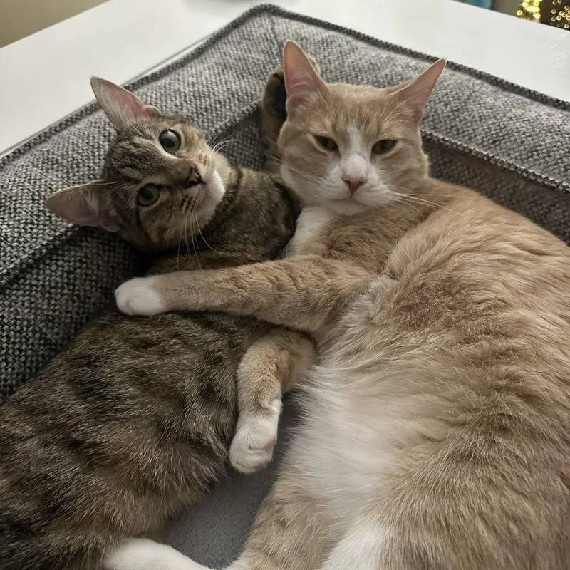 Jaebee And Tipper Indoor thumbnail 6