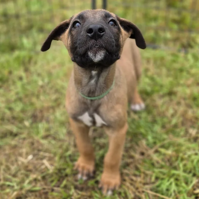 Sam