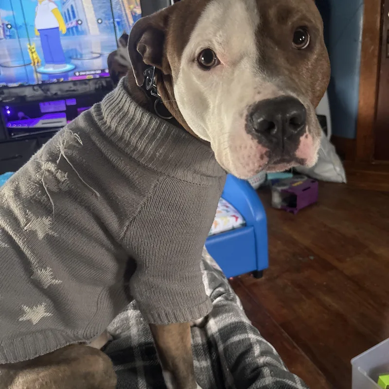 Kingston thumbnail 2