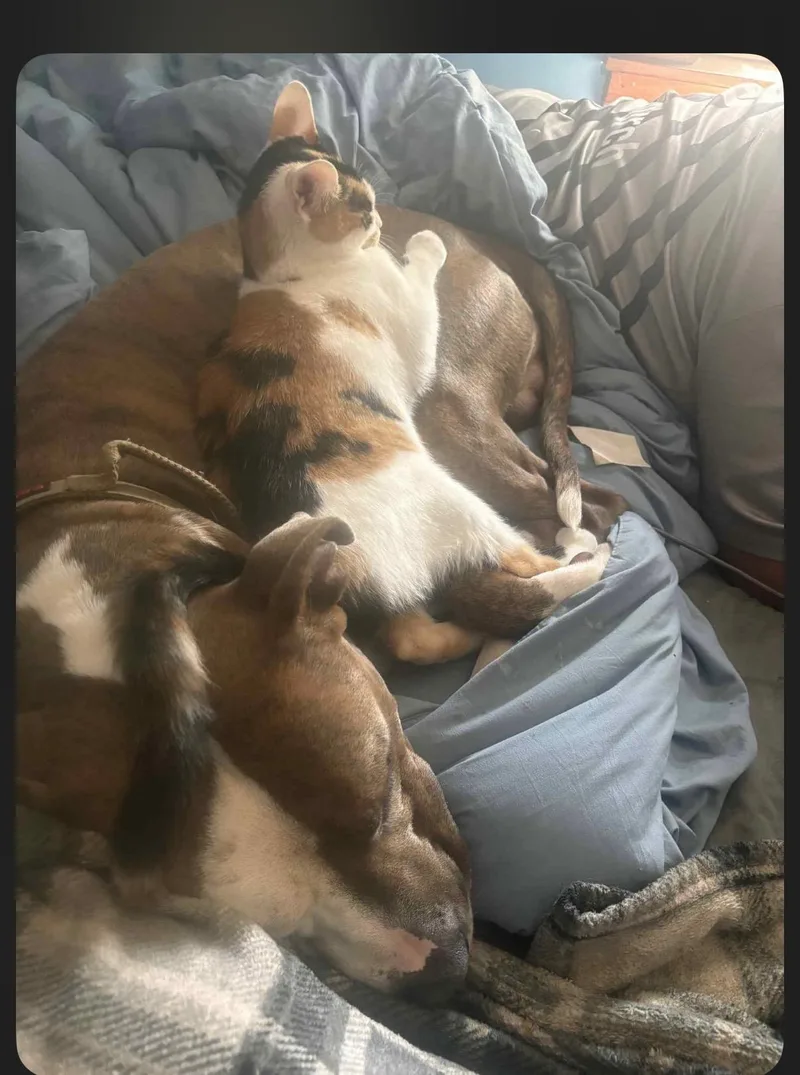 Kingston thumbnail 3