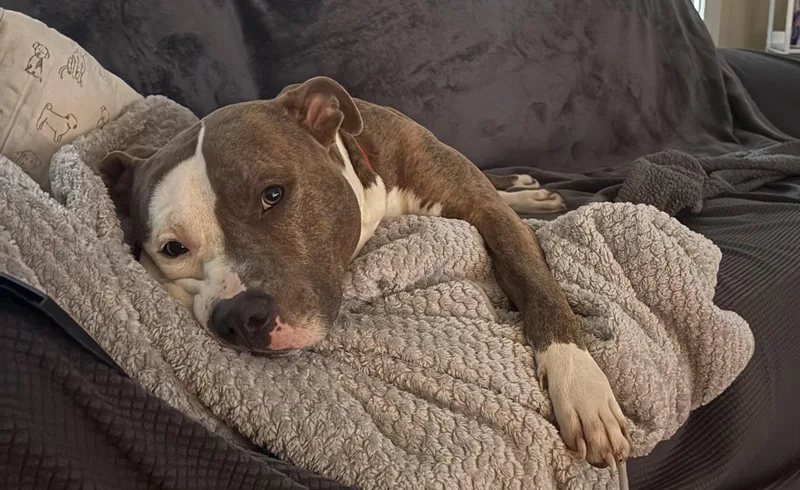 Kingston thumbnail 4