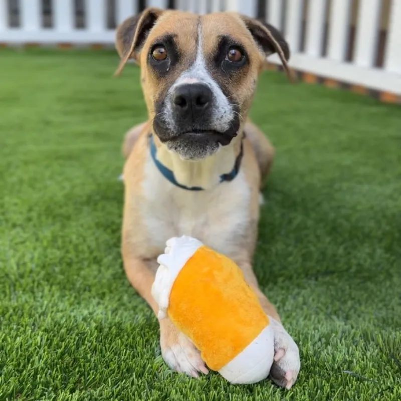 Diamond A thumbnail 4