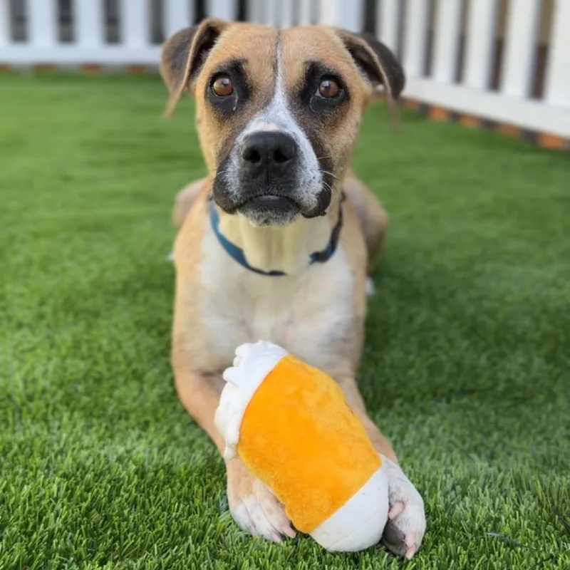 Diamond A thumbnail 6