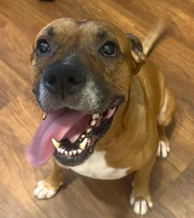 Gus Walters thumbnail 2