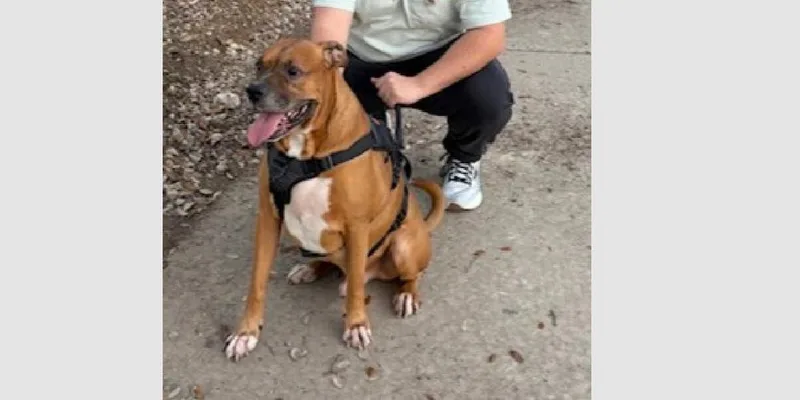 Gus Walters thumbnail 3