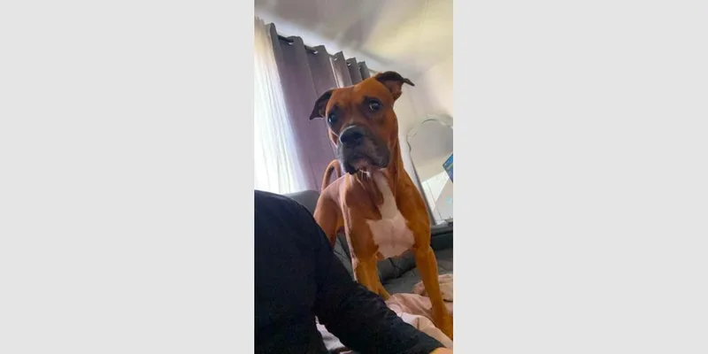 Gus Walters thumbnail 4