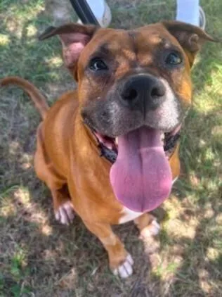 Gus Walters thumbnail 5