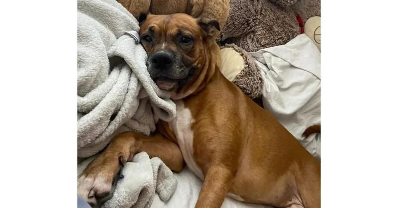 Gus Walters thumbnail 6