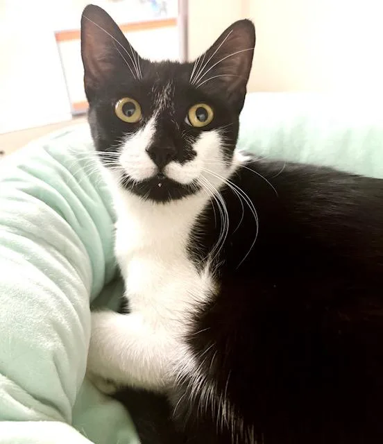 Bonnie  bonded with thumbnail 5