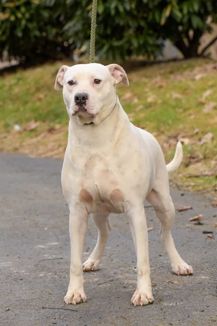 Meredith thumbnail 2