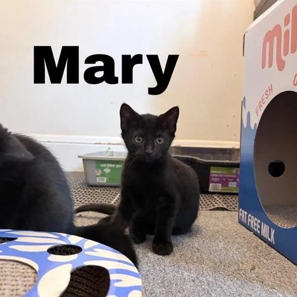 Mary