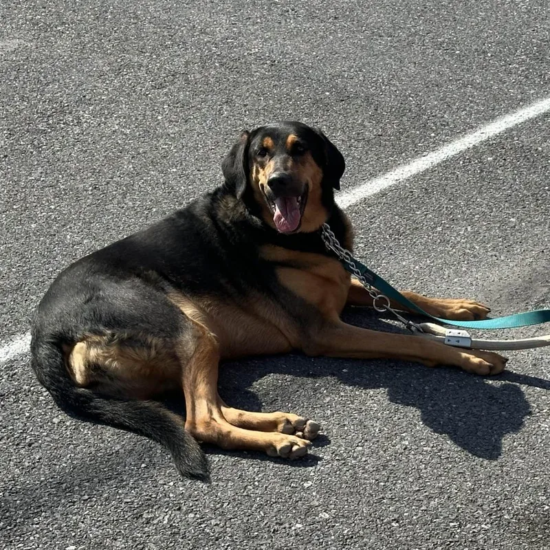 Misha May thumbnail 2