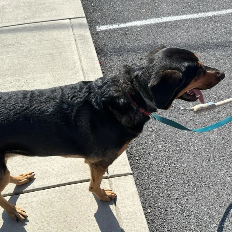 Misha May thumbnail 3