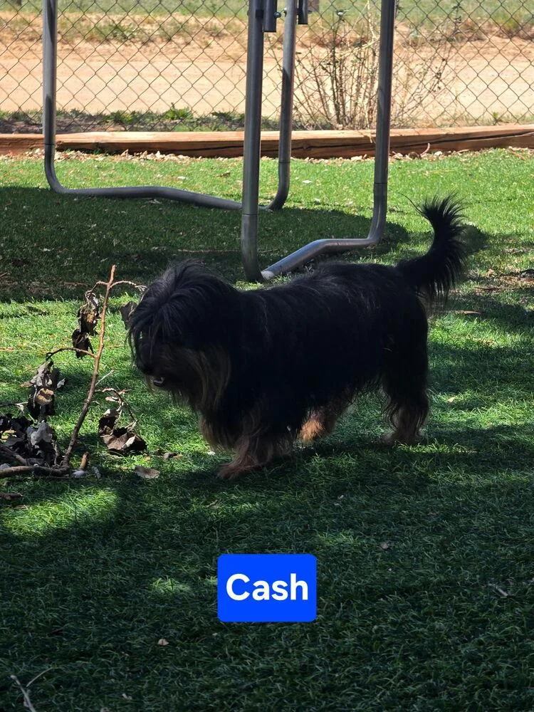 Cash thumbnail 2