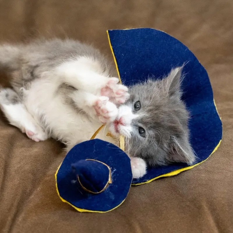 Merlin thumbnail 3