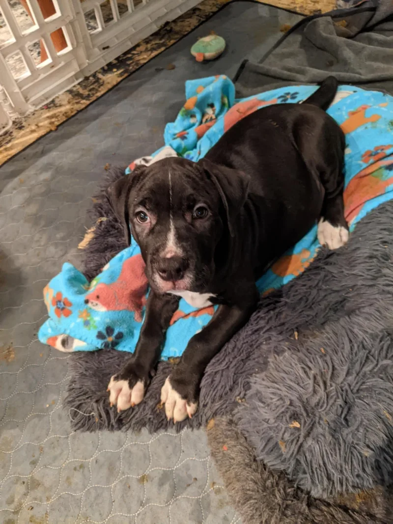 Bullseye thumbnail 6