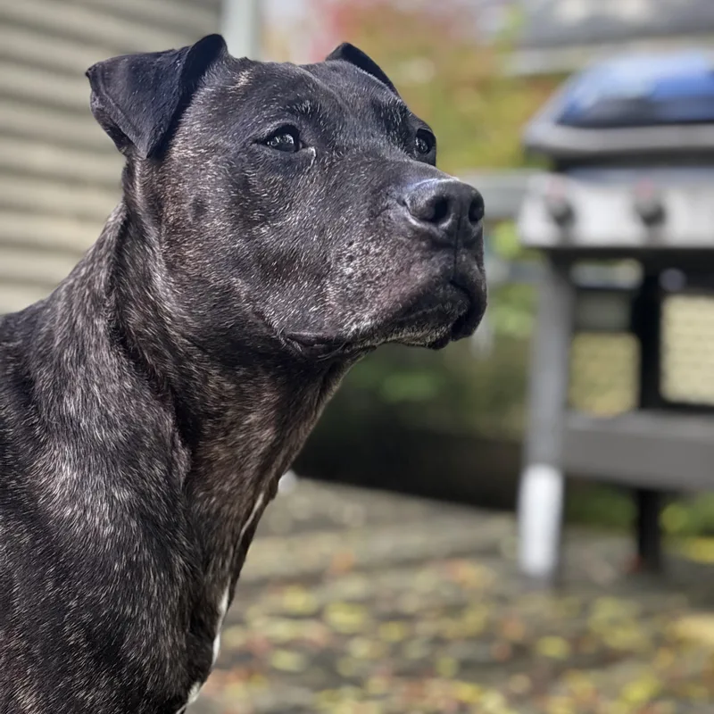 Miss Mia! Courtesy Listing thumbnail 2