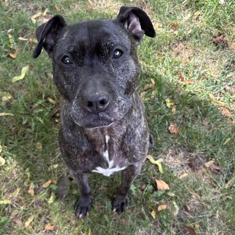 Miss Mia! Courtesy Listing thumbnail 4