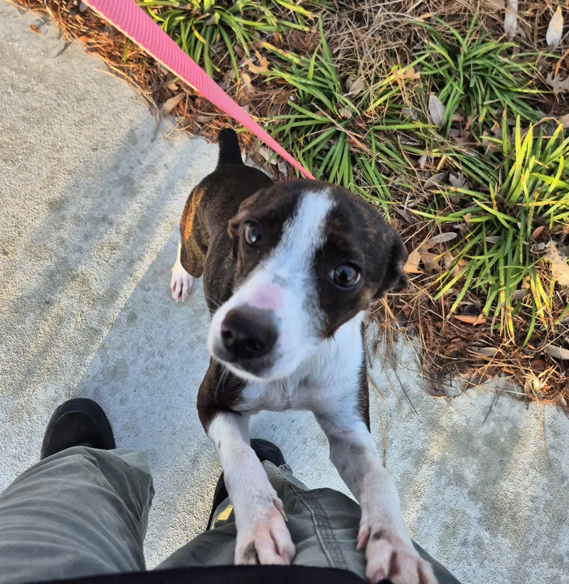 Jenna Marbles thumbnail 3