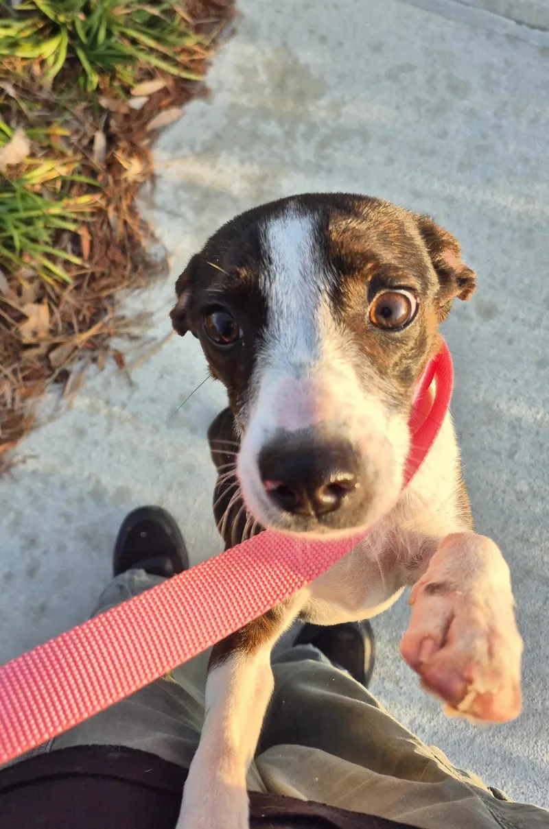 Jenna Marbles thumbnail 5