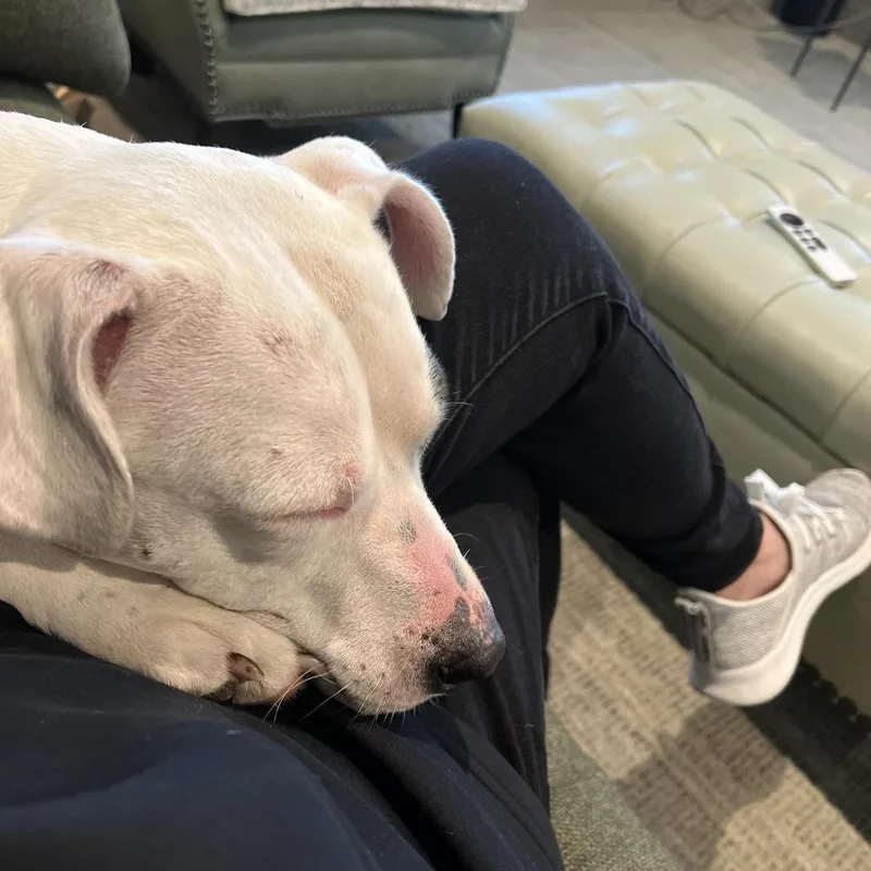 Cleopatra thumbnail 4