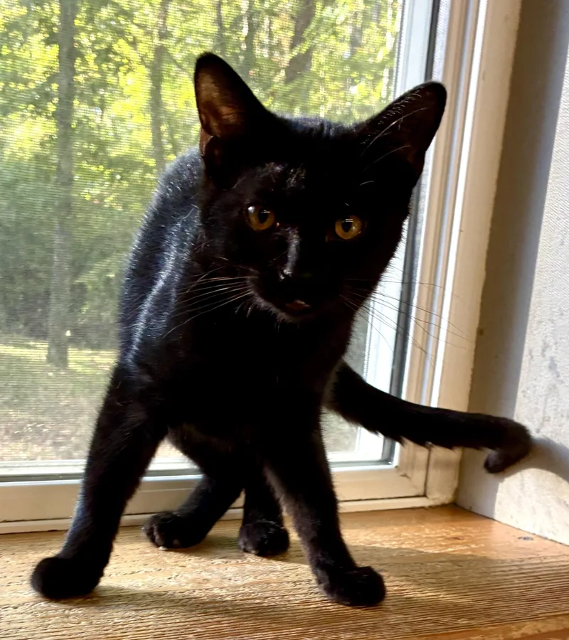 Snuggles thumbnail 2