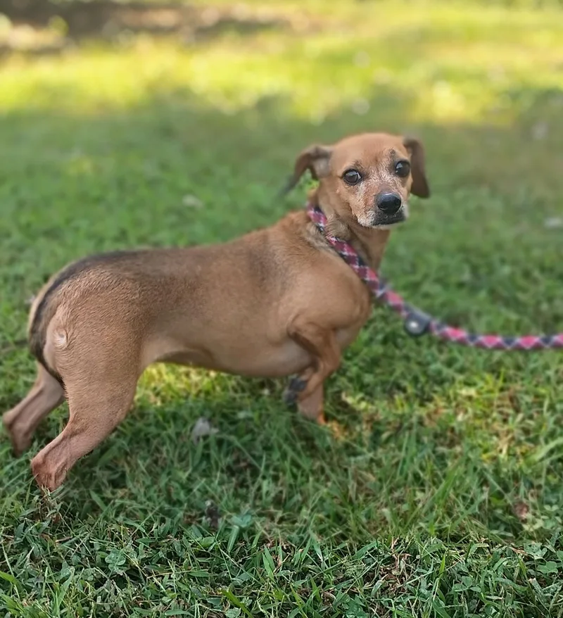 Ellie Mae