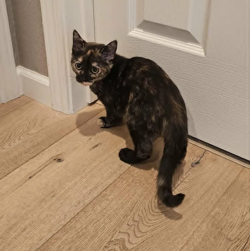 Gabby thumbnail 3