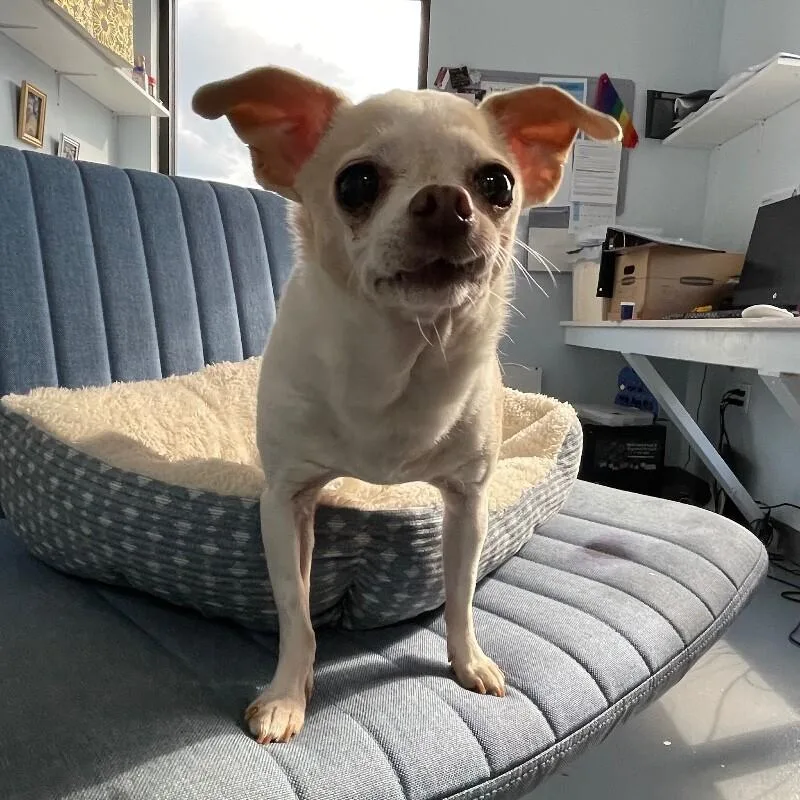 Lola